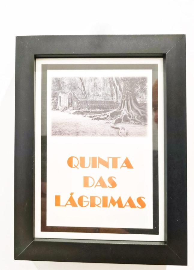 Coimbra City Charm Экстерьер фото